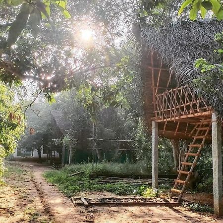 Art Forest Hotel Auroville Exterior foto