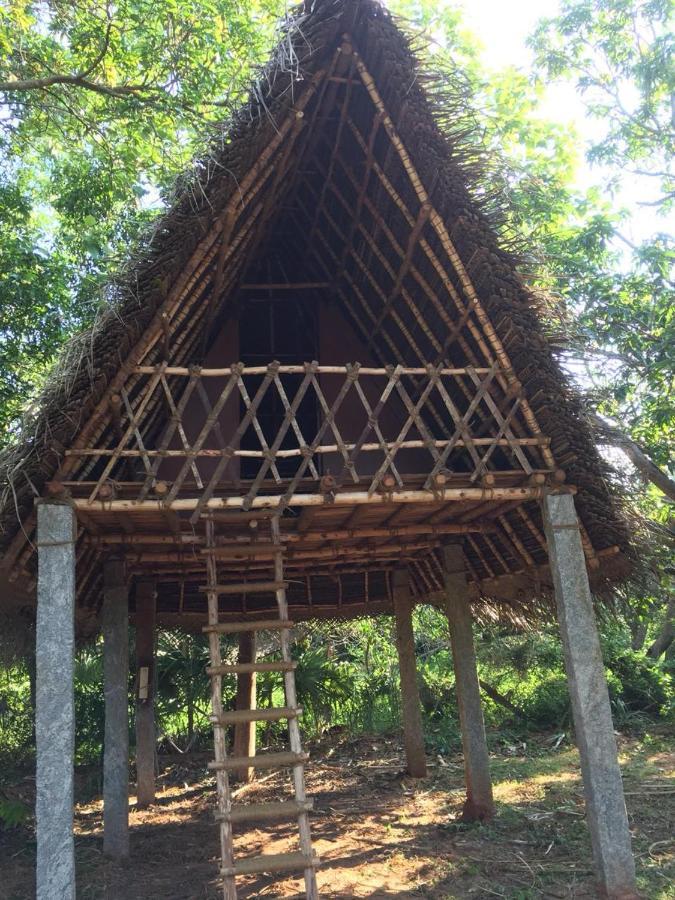 Art Forest Hotel Auroville Exterior foto