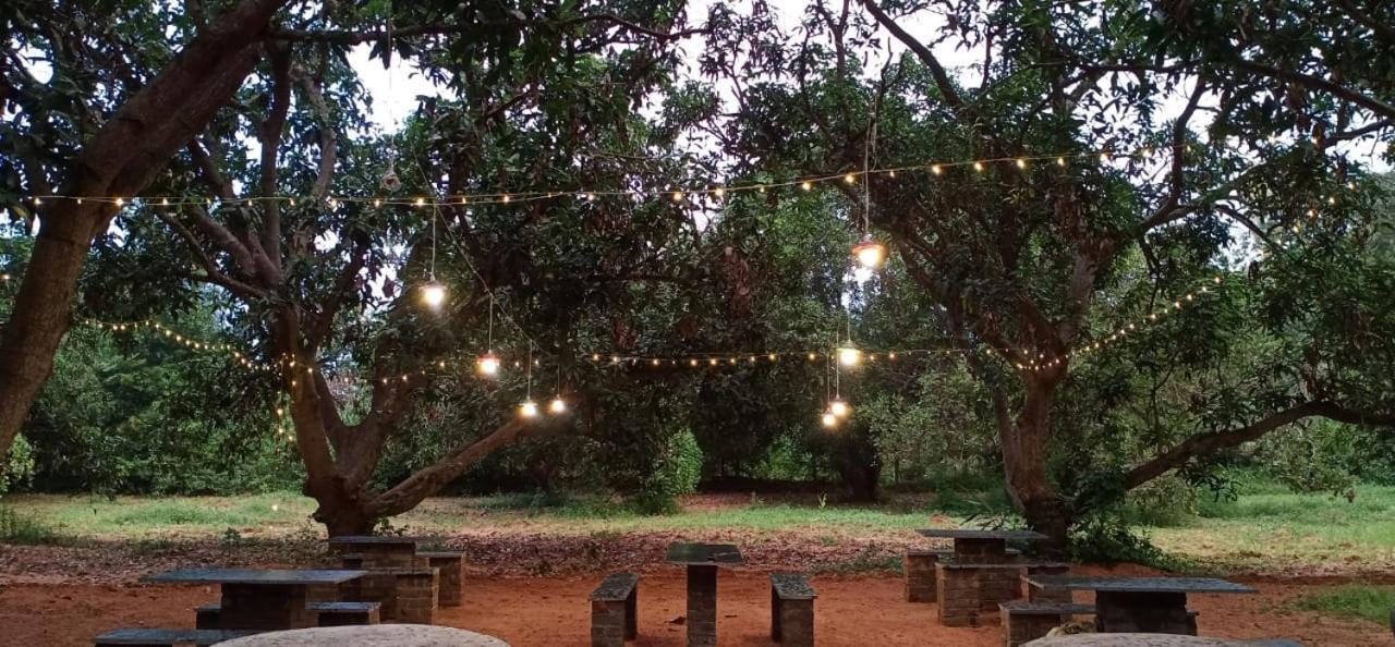 Art Forest Hotel Auroville Exterior foto