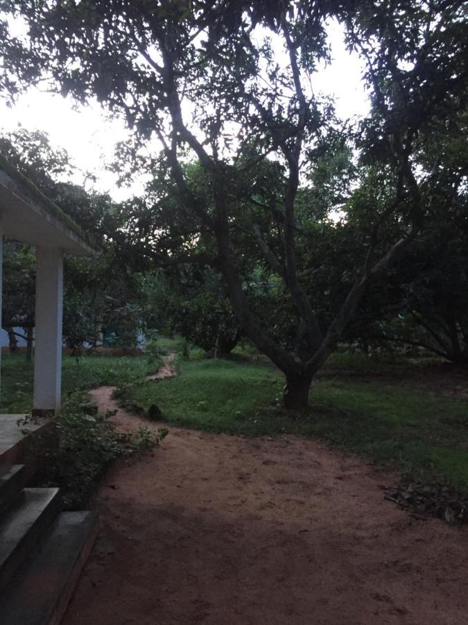 Art Forest Hotel Auroville Exterior foto