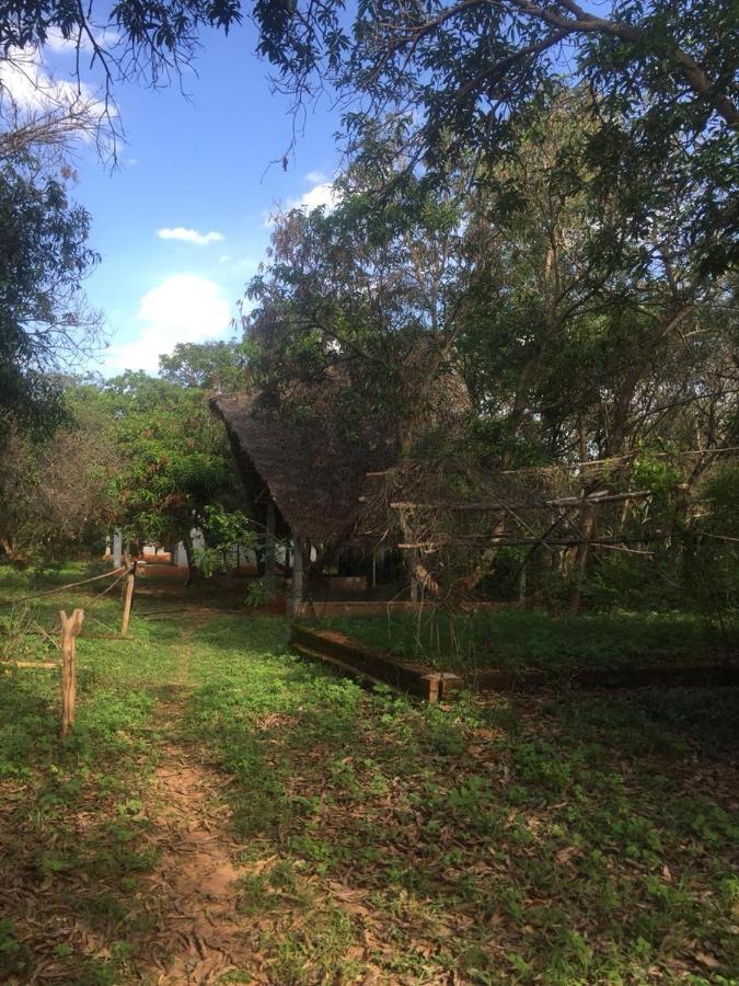 Art Forest Hotel Auroville Exterior foto