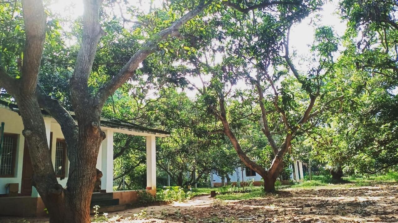 Art Forest Hotel Auroville Exterior foto