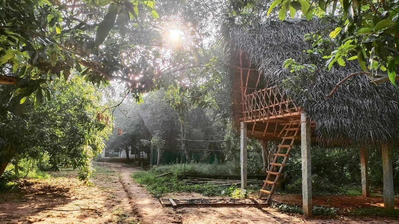 Art Forest Hotel Auroville Exterior foto